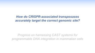 How do CRISPR-associated transposases
accurately target the correct genomic site?
Progress on harnessing CAST systems for
programmable DNA integration in mammalian cells
 