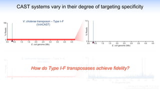 S. hofmannii transposon – Type V–K
(ShCAST)
V. cholerae transposon – Type I–F
(VchCAST)
CAST systems vary in their degree of targeting specificity
Strecker et al. Science 365, 48–53 (2019)
Vo et al. Nat Biotechnol 359, eaan4672 (2020)
How do Type I-F transposases achieve fidelity?
 