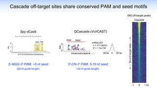 Cascade off-target sites share conserved PAM and seed motifs
640 off-target peaks
5'-CN-3' PAM, 5-10 nt seed
(32-nt guide length)
QCascade (VchCAST)
Spy dCas9
5’-NGG-3' PAM, ~5 nt seed
(20-nt guide length)
Wu et al. Nat Biotechnol 32, 670–676 (2014)
 