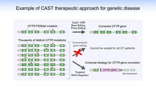 Example of CAST therapeutic approach for genetic disease
 