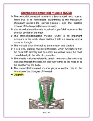 Page 1 of 3
Sternocleidomastoid muscle (SCM)
 The sternocleidomastoid muscle is a two-headed neck muscle,
which true to its name bears attachments to the manubrium
of sternum (sterno-), the clavicle (-cleido-), and the mastoid
process of the temporal bone (-mastoid).
 sternocleidomastoideus) is a paired superficial muscle in the
anterior portion of the neck.
 The sternocleidomastoid muscle (SCM) is an important
landmark in the neck which divides it into an anterior and a
posterior triangle.
 This muscle binds the skull to the sternum and clavicle
 It is a long, bilateral muscle of the neck, which functions to flex
the neck both laterally and anteriorly, as well as rotate the head
contralaterally to the side of contraction.
 The muscle is closely related to certain neurovascular structures
that pass through the neck on their way either to the head or to
the periphery of the body.
 The sternocleidomastoid muscle plays a central role in the
formation of the triangles of the neck
 Diagram:
 