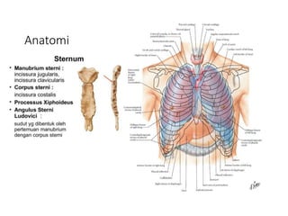 Sternotomi on p3diatric Heart surgery II | PPTX