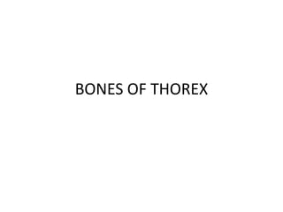 BONES OF THOREX
 