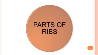 PARTS OF
RIBS
12
 