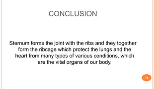 CONCLUSION
Sternum forms the joint with the ribs and they together
form the ribcage which protect the lungs and the
heart from many types of various conditions, which
are the vital organs of our body.
14
 