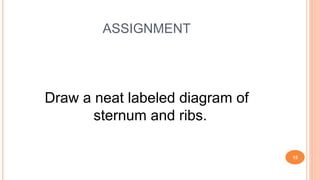 ASSIGNMENT
Draw a neat labeled diagram of
sternum and ribs.
15
 