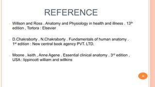 REFERENCE
o Willson and Ross . Anatomy and Physiology in health and illness . 13th
edition , Tortora : Elsevier
o D.Chakraborty , N.Chakraborty . Fundamentals of human anatomy .
1st edition : New central book agency PVT. LTD.
o Moone , keith , Anne Agene . Essential clinical anatomy . 3rd edition ,
USA : lippincott william and willkins
16
 