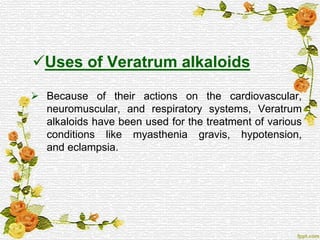 Steroid alkaloids | PPT