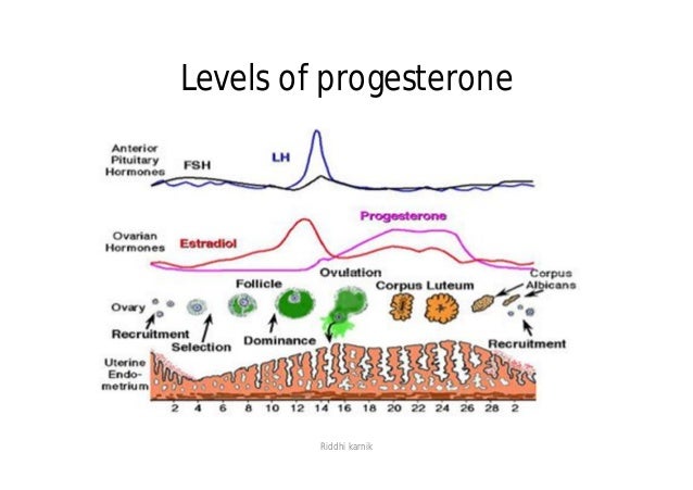 ovulation chart for progesterone hormone Steroid ovulation chart for progesterone hormone Steroid