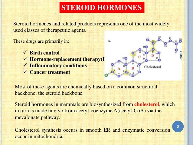 steroid hormones steroid hormones