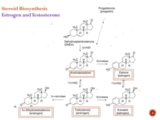Steroid Hormones (Sex hormones) - Medicinal Chemistry | PDF