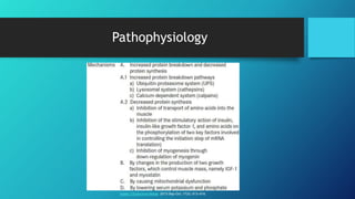 Steroid Myopathy | PPT