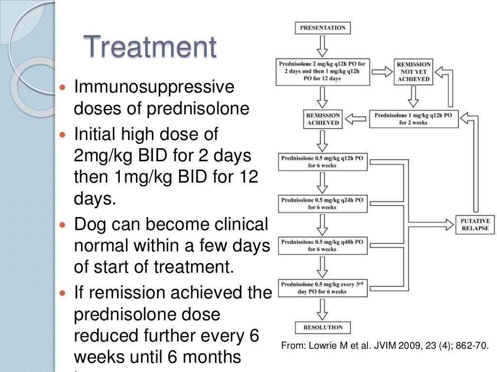 Steroid responsive meningitis arteritis