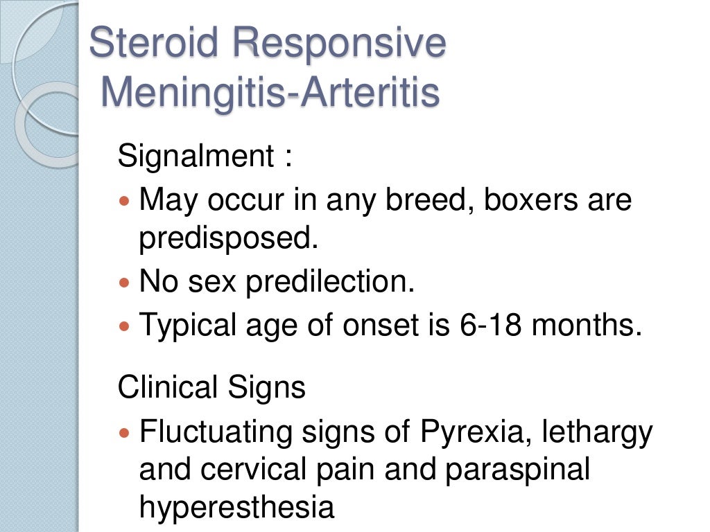 Steroid responsive meningitis arteritis