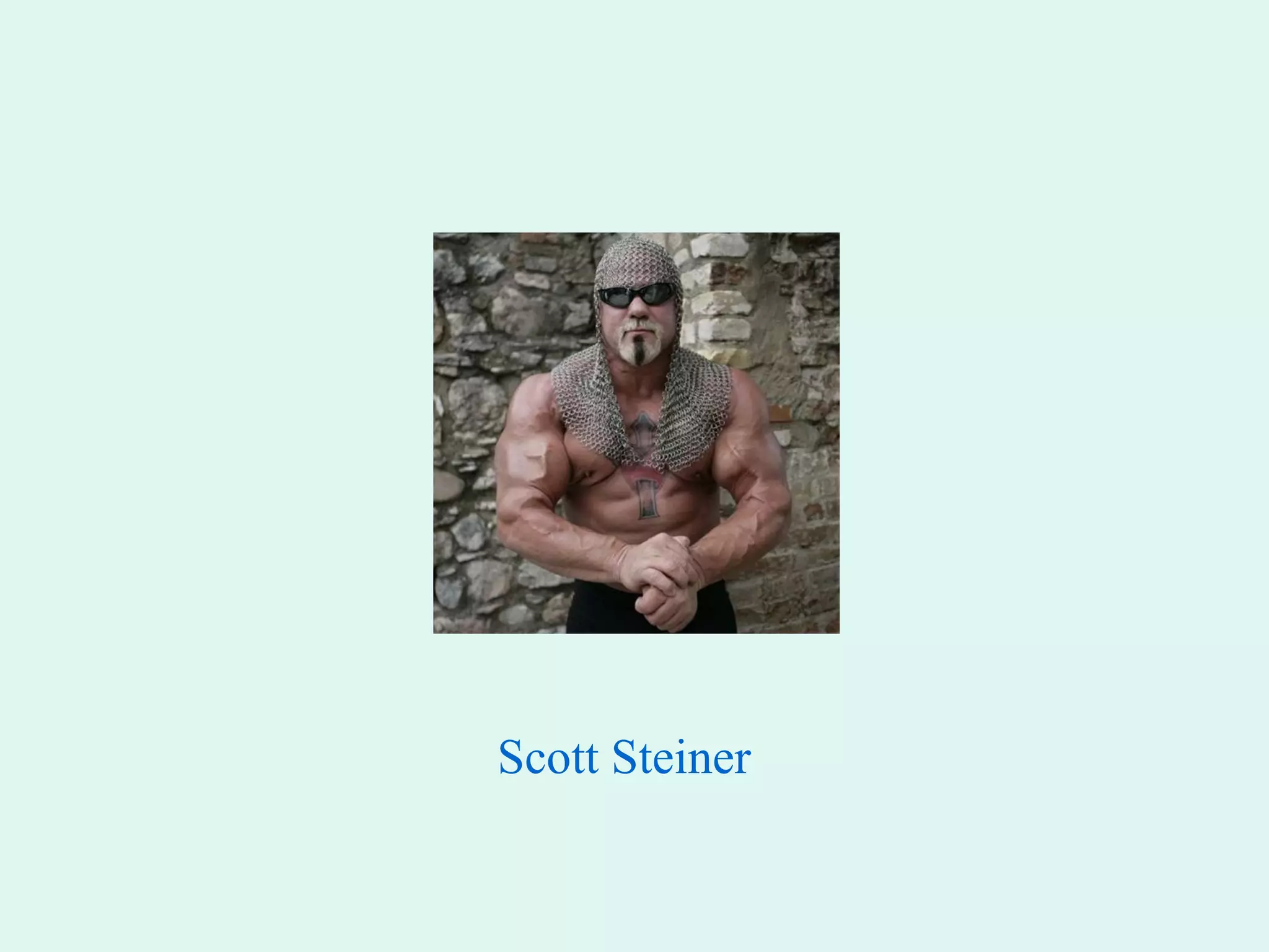Scott Steiner 