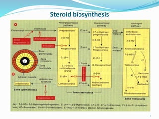 Steroid biosynthesis
3
 