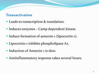 Transactivation
 Leads to transcription & translation.
 Induces enzymes - Camp dependent kinase.
 Induce formation of annexin-1 (lipocortin-1).
 Lipocortin-1 inhibits phospholipase A2.
 Induction of Annexin-1 is slow.
 Antiinflammatory response takes several hours.
6
 