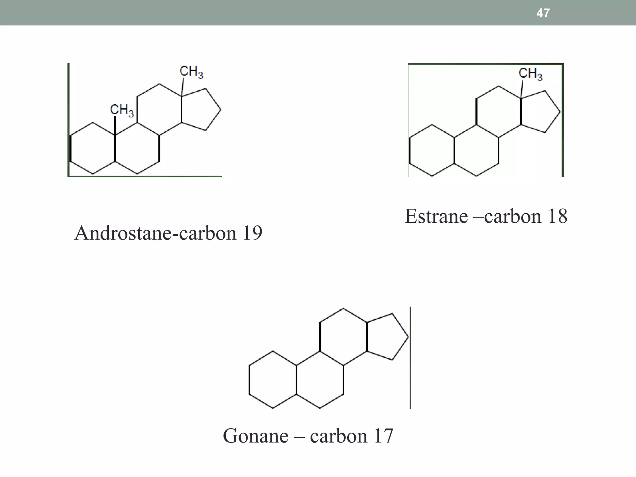 Steroids | PPTX