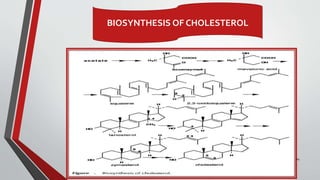 14
BIOSYNTHESIS OF CHOLESTEROL
 