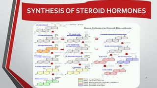 17
SYNTHESIS OF STEROID HORMONES
 