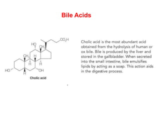 Bile Acids
 