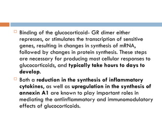  Binding of the glucocorticoid- GR dimer either
represses, or stimulates the transcription of sensitive
genes, resulting in changes in synthesis of mRNA,
followed by changes in protein synthesis. These steps
are necessary for producing most cellular responses to
glucocorticoids, and typically take hours to days to
develop.
 Both a reduction in the synthesis of inflammatory
cytokines, as well as upregulation in the synthesis of
annexin A1 are known to play important roles in
mediating the antiinflammatory and immunomodulatory
effects of glucocorticoids.
 