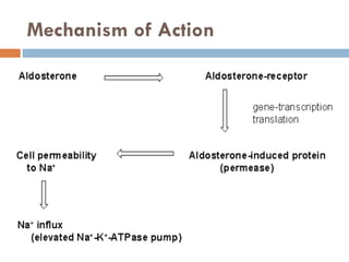 Mechanism of Action
 