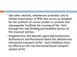  Like other steroids, aldosterone probably acts to
initiate transcription of RNA that serves as template
for the synthesis of carrier protein or proteins that
subsequently facilitate the crossing of Na⁺ ions
through the rate limiting permeability barrier of
the mucosal surface.
 Progesterone, the diuretic agent Spironolactone,
Actinomycin and Puromycin block the aldosterone
stimulated transport of Na⁺. Such inhibitors have
no effects on the non-hormonal basal transport
system of Na⁺
 