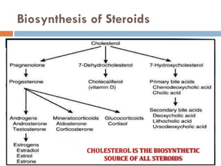 Biosynthesis of Steroids
 