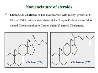 Steroids T.Y. B. Pharm Medicinal Chemistry | PPTX