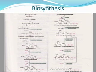 Biosynthesis
 