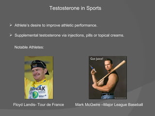 Testosterone in Sports Athlete’s desire to improve athletic performance. Supplemental testosterone via injections, pills or topical creams. Floyd Landis- Tour de France Mark McGwire –Major League Baseball Notable Athletes: 