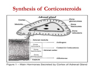 Synthesis of Corticosteroids
 