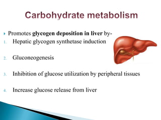  Promotes glycogen deposition in liver by-
1. Hepatic glycogen synthetase induction
2. Gluconeogenesis
3. Inhibition of glucose utilization by peripheral tissues
4. Increase glucose release from liver
 