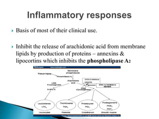  Basis of most of their clinical use.
 Inhibit the release of arachidonic acid from membrane
lipids by production of proteins – annexins &
lipocortins which inhibits the phospholipase A2
 
