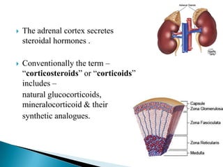  The adrenal cortex secretes
steroidal hormones .
 Conventionally the term –
―corticosteroids‖ or ―corticoids‖
includes –
natural glucocorticoids,
mineralocorticoid & their
synthetic analogues.
 