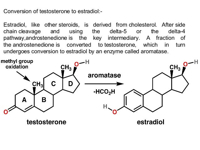is estrogen a steroid