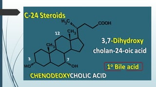 introduction and Nomenclature of steroids.pptx
