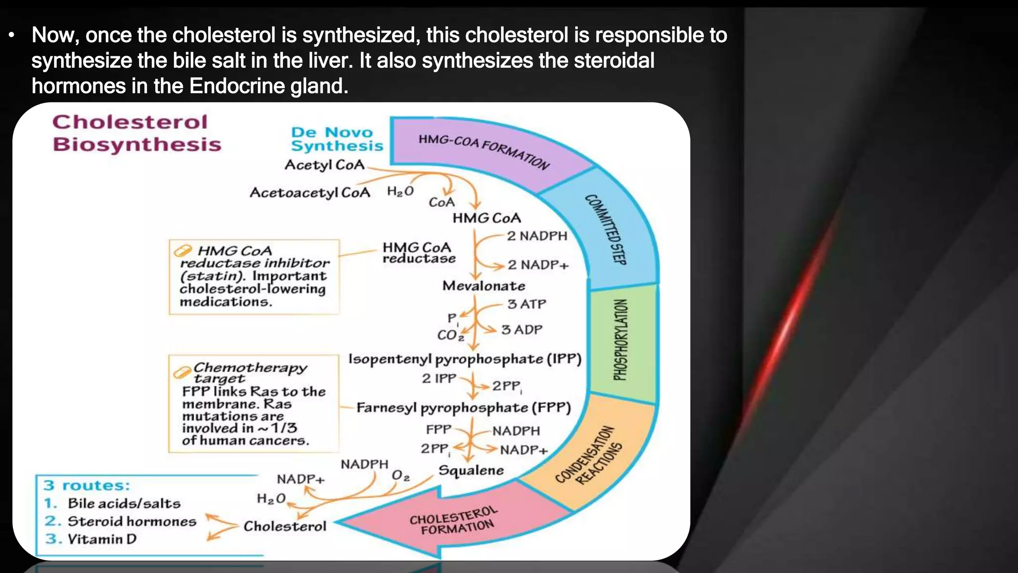 Steroid, sterol & metabolism of cholesterol | PPTX