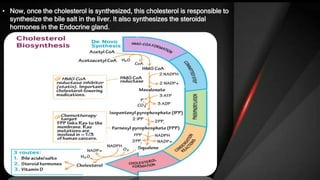 Steroid, sterol & metabolism of cholesterol | PPTX