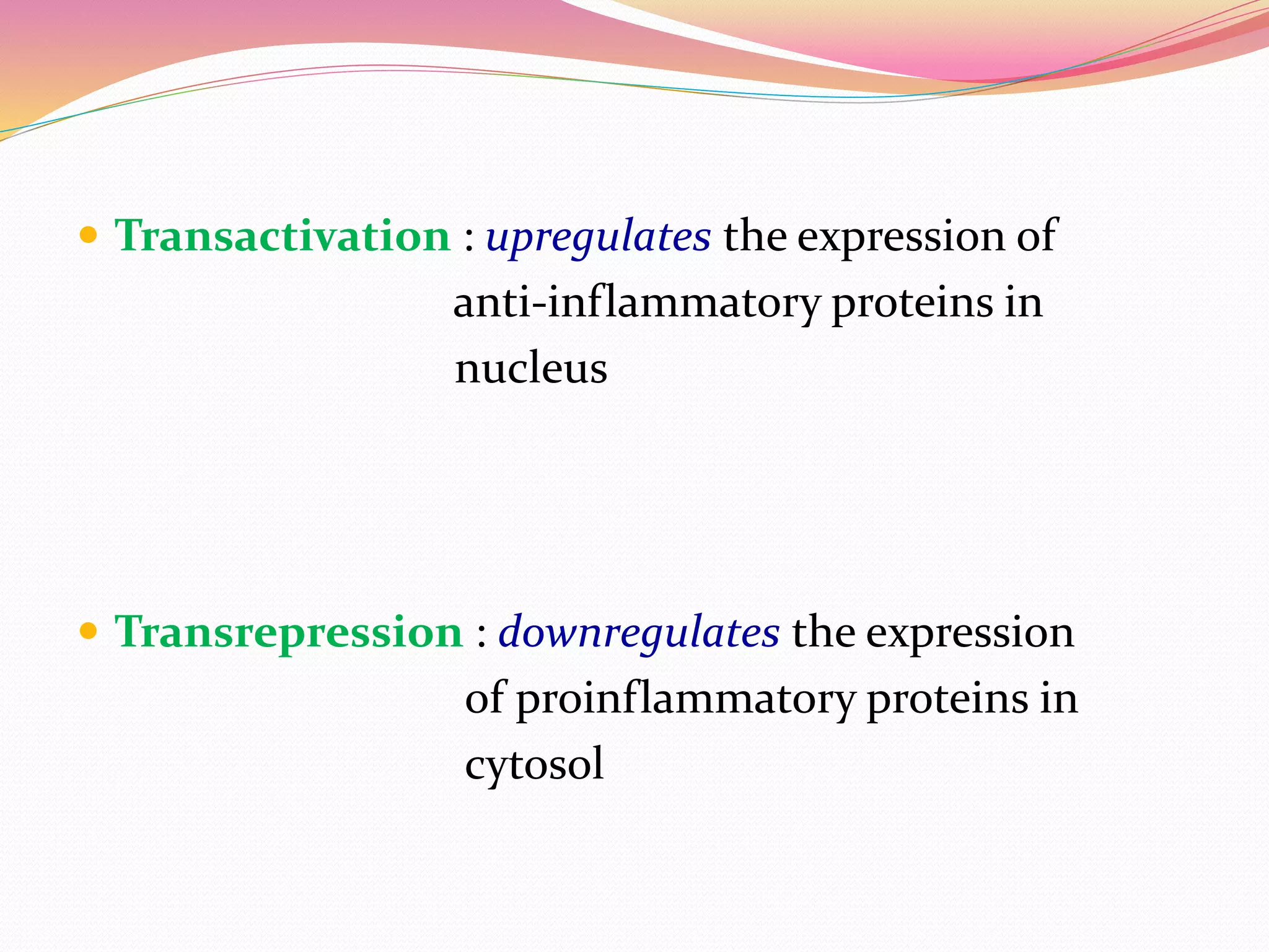  Transactivation : upregulates the expression of
anti-inflammatory proteins in
nucleus
 Transrepression : downregulates the expression
of proinflammatory proteins in
cytosol
 