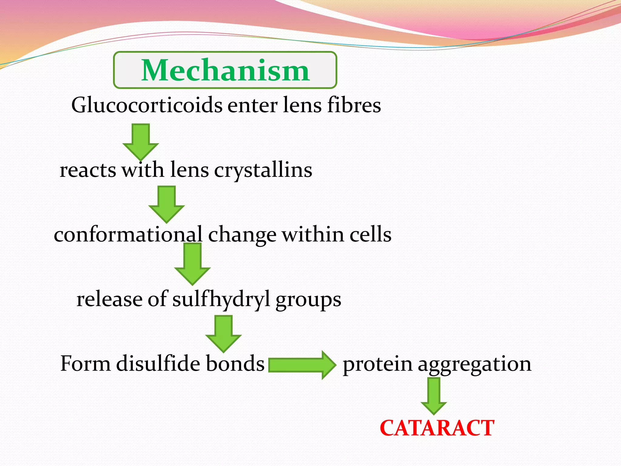 Glucocorticoids enter lens fibres
reacts with lens crystallins
conformational change within cells
release of sulfhydryl groups
Form disulfide bonds protein aggregation
CATARACT
Mechanism
 