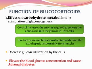 FUNCTION OF GLUCOCORTICOIDS
1.Effect on carbohydrate metabolism i.e
stimulation of gluconeogenesis
 Decrease glucose utilization by the cells
 Elevate the blood glucose concentration and cause
Adrenal diabetes
Cortisol increases the enzyme required to convert the
amino acid into the glucose in liver cells
Cortisol causes mobilization of amino acids from the
extrahepatic tissue mainly from muscles
 