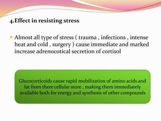 4.Effect in resisting stress
 Almost all type of stress ( trauma , infections , intense
heat and cold , surgery ) cause immediate and marked
increase adrenocotical secretion of cortisol
Glucocorticoids cause rapid mobilization of amino acids and
fat from there cellular store , making them immediately
available both for energy and synthesis of other compounds
 