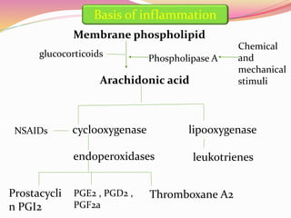 Membrane phospholipid
Arachidonic acid
Chemical
and
mechanical
stimuli
Phospholipase A
cyclooxygenase lipooxygenase
endoperoxidases leukotrienes
Prostacycli
n PGI2
PGE2 , PGD2 ,
PGF2a
Thromboxane A2
glucocorticoids
NSAIDs
Basis of inflammation
 