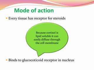 Mode of action
 Every tissue has receptor for steroids
 Binds to glucocoticoid receptor in nucleus
Because cortisol is
lipid soluble it can
easily diffuse through
the cell membrane
 