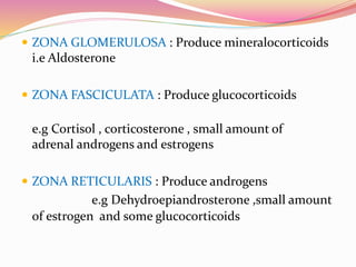 ZONA GLOMERULOSA : Produce mineralocorticoids
i.e Aldosterone
 ZONA FASCICULATA : Produce glucocorticoids
e.g Cortisol , corticosterone , small amount of
adrenal androgens and estrogens
 ZONA RETICULARIS : Produce androgens
e.g Dehydroepiandrosterone ,small amount
of estrogen and some glucocorticoids
 