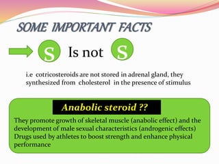 SOME IMPORTANT FACTS
s Is not s
i.e cotricosteroids are not stored in adrenal gland, they
synthesized from cholesterol in the presence of stimulus
They promote growth of skeletal muscle (anabolic effect) and the
development of male sexual characteristics (androgenic effects)
Drugs used by athletes to boost strength and enhance physical
performance
Anabolic steroid ??
 