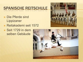SPANISCHE REITSCHULE

   Die Pferde sind
    Lippizaner
   Reitakademi seit 1572
   Seit 1729 in dem
    selben Gebäude
 