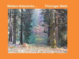 Jüdisches LebenErfurt, Mühlhausen, Sondershausen, NordhausenAngebotsentwicklungSensibilisierung der LeistungsträgerWorkshop zum ThemaVernetzung der Akteure 